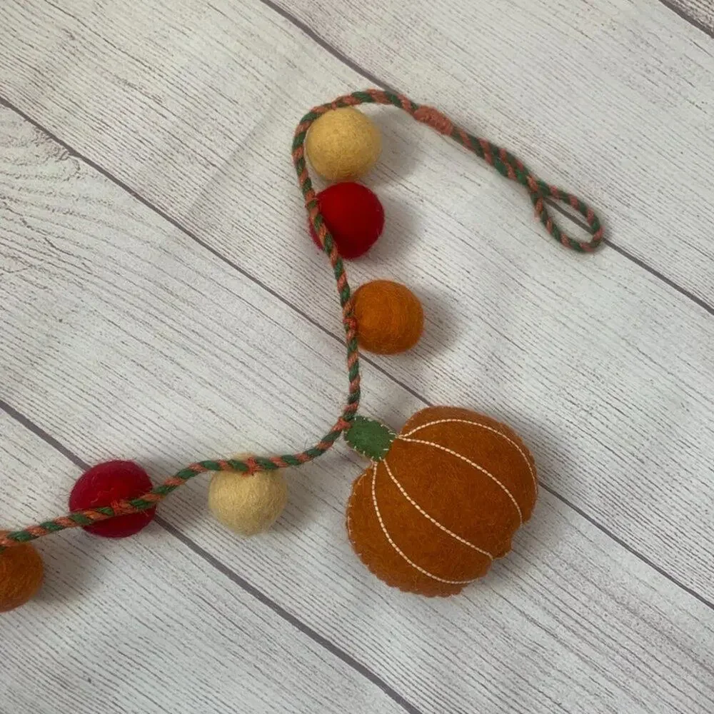 Haymarket Square Pumpkin Felt Ball Fall Garland Jute String Fall Thanksgiving 6'